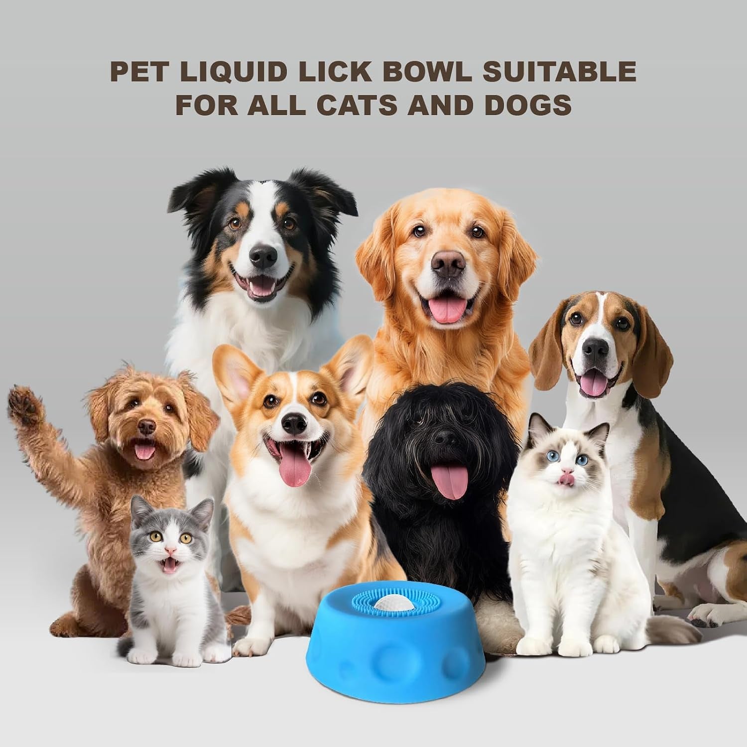 Dog Lick Bowl - Slow Feeder For Pets